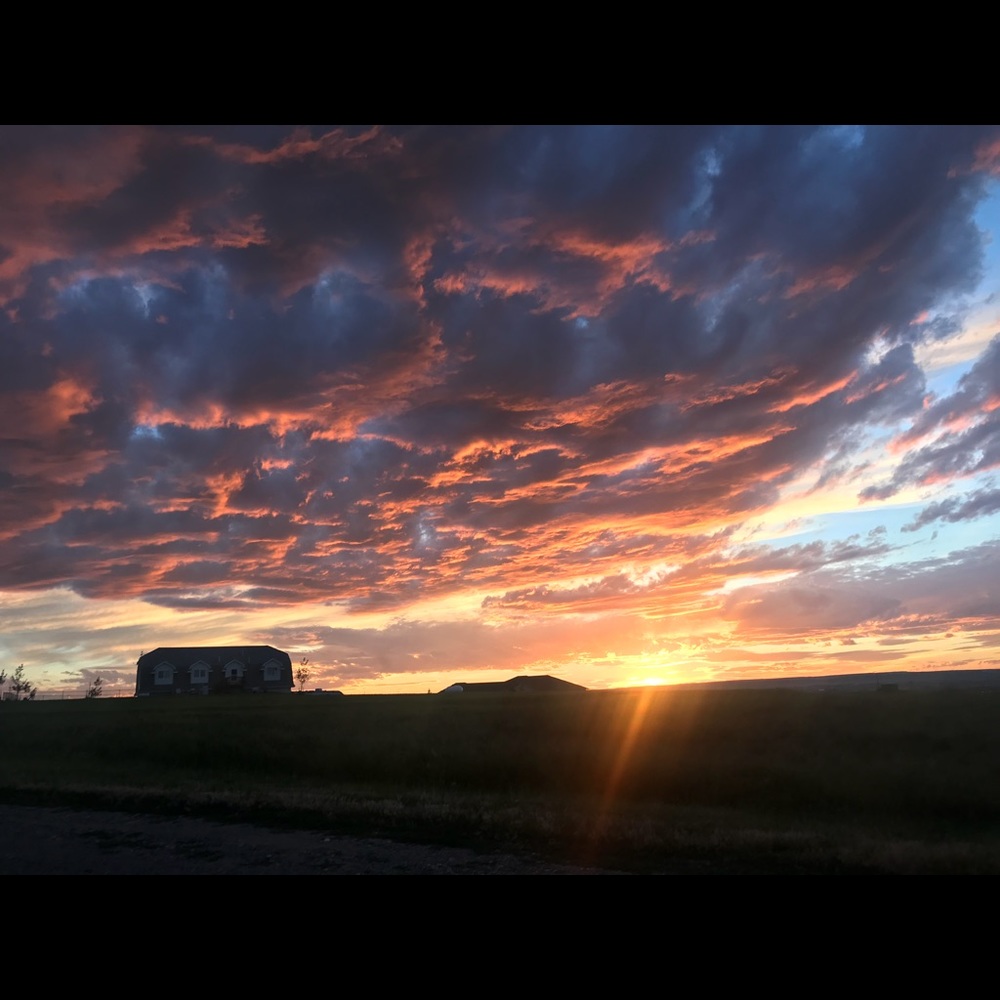 Meet your Posher, Greg